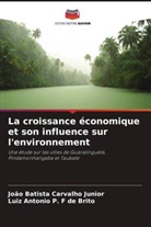 João Batista Carvalho Junior, Luiz Antonio P. F de Brito - La croissance économique et son influence sur l'environnement
