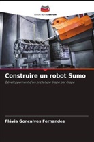 Flávia Gonçalves Fernandes - Construire un robot Sumo