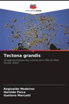 Gustavo Marcatti, Reginaldo Medeiros, Haroldo Paiva - Tectona grandis
