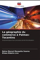 Elizeu Ribeiro Lira, Dalva Marçal Mesquita Soares - La géographie du commerce à Palmas-Tocantins