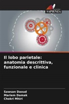 Mariem Damak, Sawsan Daoud, Chokri Mhiri - Il lobo parietale: anatomia descrittiva, funzionale e clinica