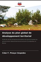 Cídar F. Pinaya Céspedes - Analyse du plan global de développement territorial