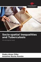 Pedro Alves Filho, Anselmo Rocha Romão - Socio-spatial Inequalities and Tuberculosis