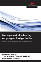 Ibrahima Diallo, Yvette Marie Chantal Gyebre, Moustapha Sereme - Management of vulnating esophageal foreign bodies