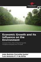 João Batista Carvalho Junior, Luiz Antonio P. F de Brito - Economic Growth and its Influence on the Environment