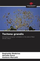 Gustavo Marcatti, Reginaldo Medeiros, Haroldo Paiva - Tectona grandis
