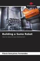 Flávia Gonçalves Fernandes - Building a Sumo Robot