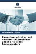 Felis Muhau Kapepiso - Finanzierung kleiner und mittlerer Unternehmen und die Rolle des Bankensektors