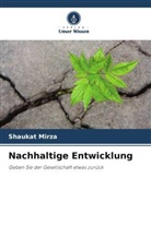 Shaukat Mirza - Nachhaltige Entwicklung