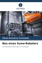 Flávia Gonçalves Fernandes - Bau eines Sumo-Roboters