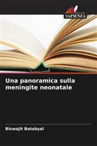 Biswajit Batabyal - Una panoramica sulla meningite neonatale