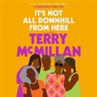 Terry McMillan - It's Not All Downhill From Here (Audio book)