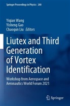Yisheng Gao, Chaoqun Liu, Yiqian Wang - Liutex and Third Generation of Vortex Identification