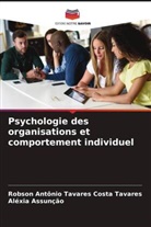 Aléxia Assunção, Robson Antônio Tavares Costa Tavares - Psychologie des organisations et comportement individuel