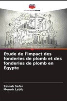 Monuir Labib, Zeinab Safar - Étude de l'impact des fonderies de plomb et des fonderies de plomb en Égypte