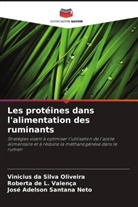 Vinicius Da Silva Oliveira, José Adelson Santana Neto, Roberta de L. Valença - Les protéines dans l'alimentation des ruminants