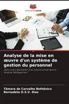 Tâmara de Carvalho Bethônico, Bernadete O. S. V. Dias, Bernadete O.S.V. Dias - Analyse de la mise en oeuvre d'un système de gestion du personnel