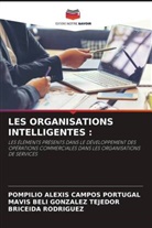 Pompilio Alexis Campos Portugal, Mavis Beli Gonzalez Tejedor, Briceida Rodriguez - LES ORGANISATIONS INTELLIGENTES :