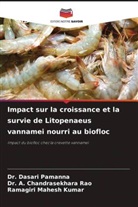 A. Chandrasekhara Rao, Dr. A. Chandrasekhara Rao, Dasari Pamanna, Dr. Dasari Pamanna, Ramagiri Mahesh Kumar - Impact sur la croissance et la survie de Litopenaeus vannamei nourri au biofloc