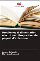 Angelo Dalaguit, Mary Ann Dalaguit - Problèmes d'alimentation électrique : Proposition de paquet d'extension