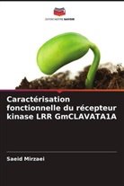 Saeid Mirzaei - Caractérisation fonctionnelle du récepteur kinase LRR GmCLAVATA1A