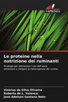Vinicius Da Silva Oliveira, José Adelson Santana Neto, Roberta de L. Valença - Le proteine nella nutrizione dei ruminanti