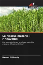 Hamed El-Mously - Le risorse materiali rinnovabili