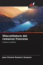 Jean Florent Romaric Gnayoro - Sfaccettature del romanzo francese