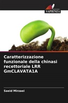 Saeid Mirzaei - Caratterizzazione funzionale della chinasi recettoriale LRR GmCLAVATA1A