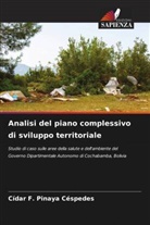 Cídar F. Pinaya Céspedes - Analisi del piano complessivo di sviluppo territoriale