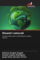 Patricio Aragón Aragón, Omelio Cepero Rodriguez, Jorge Orlay Serrano Torres - Disastri naturali