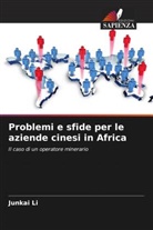Junkai Li - Problemi e sfide per le aziende cinesi in Africa