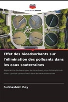 Subhashish Dey - Effet des bioadsorbants sur l'élimination des polluants dans les eaux souterraines