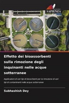 Subhashish Dey - Effetto dei bioassorbenti sulla rimozione degli inquinanti nelle acque sotterranee