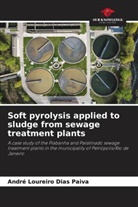 André Loureiro Dias Paiva - Soft pyrolysis applied to sludge from sewage treatment plants