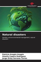 Patricio Aragón Aragón, Omelio Cepero Rodriguez, Jorge Orlay Serrano Torres - Natural disasters