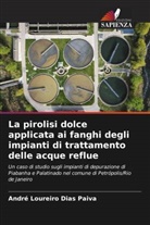 André Loureiro Dias Paiva - La pirolisi dolce applicata ai fanghi degli impianti di trattamento delle acque reflue
