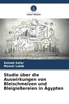Monuir Labib, Zeinab Safar - Studie über die Auswirkungen von Bleischmelzen und Bleigießereien in Ägypten