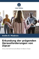 Andile B Maqhuzu, Andile B. Maqhuzu - Erkundung der prägenden Herausforderungen von Zipcar
