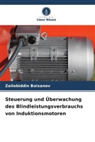 Zailobiddin Boixanov - Steuerung und Überwachung des Blindleistungsverbrauchs von Induktionsmotoren