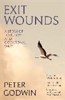 Peter Godwin, Godwin Peter - Exit Wounds