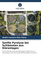 André Loureiro Dias Paiva - Sanfte Pyrolyse bei Schlämmen aus Kläranlagen