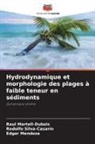 Raul Martell-Dubois, Edgar Mendoza, Rodolfo Silva-Casarín - Hydrodynamique et morphologie des plages à faible teneur en sédiments