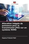 Sapana Prakash Mali - Allocation inégale de puissance pour la transmission JPEG sur un système MIMO