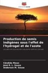 Cândida Mews, José R. L. Sousa, Anderson M. Souza - Production de semis indigènes sous l'effet de l'hydrogel et de l'azote