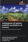 Crispin Cruz, Fernanda Ernandes, Letícia Martins Oliveira - Isolamento di batteri endofiti produttori di Levana