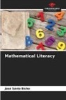 José Sávio Bicho - Mathematical Literacy