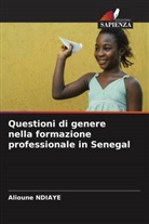 Alioune Ndiaye - Questioni di genere nella formazione professionale in Senegal