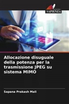 Sapana Prakash Mali - Allocazione disuguale della potenza per la trasmissione JPEG su sistema MIMO