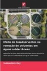 Subhashish Dey - Efeito de bioadsorventes na remoção de poluentes em águas subterrâneas